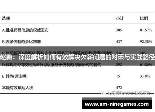 赵鹏：深度解析如何有效解决欠薪问题的对策与实践路径
