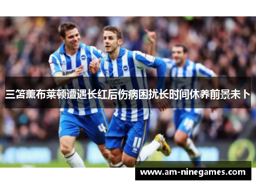 三笘薰布莱顿遭遇长红后伤病困扰长时间休养前景未卜